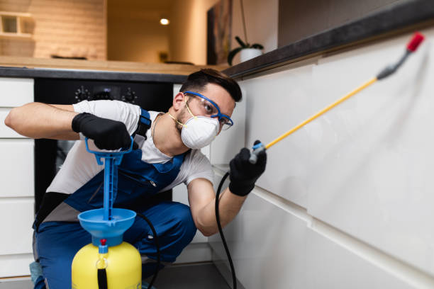 Best Pest Removal Services  in Kirby, TX
