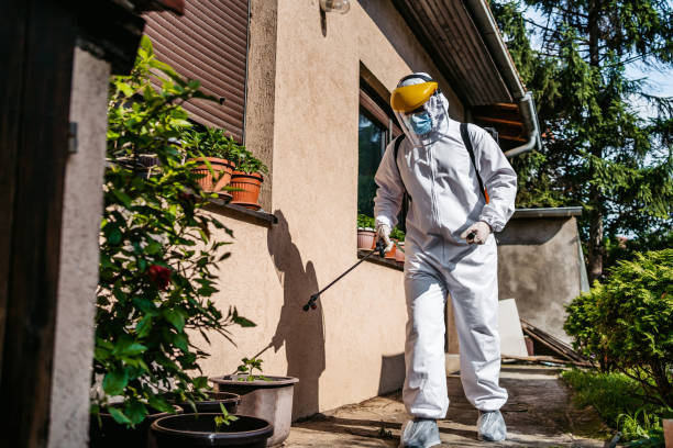 Best Residential Pest Control  in Kirby, TX