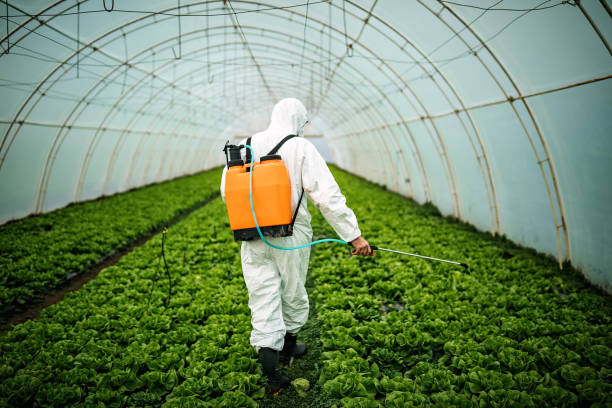 Professional Pest Control in Kirby, TX