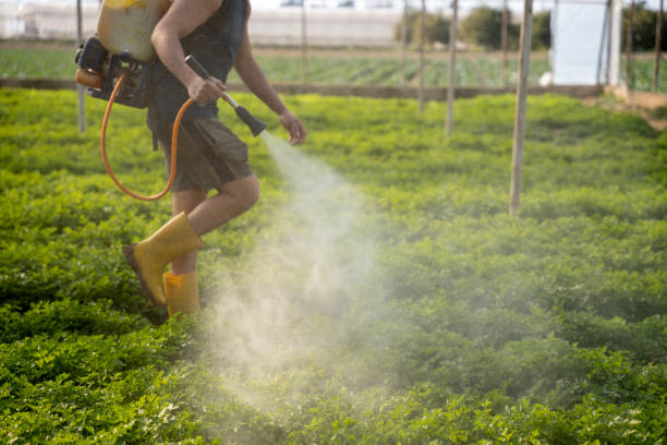 Pest Control Cost in Kirby, TX
