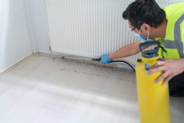 Best Best Pest Control Companies  in Kirby, TX